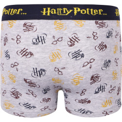 2-pack Boxerkalsonger Harry Potter