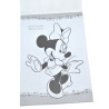 Disney Mimmi målarbok med stickers
