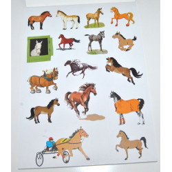 Ritblock, Häst med stickers